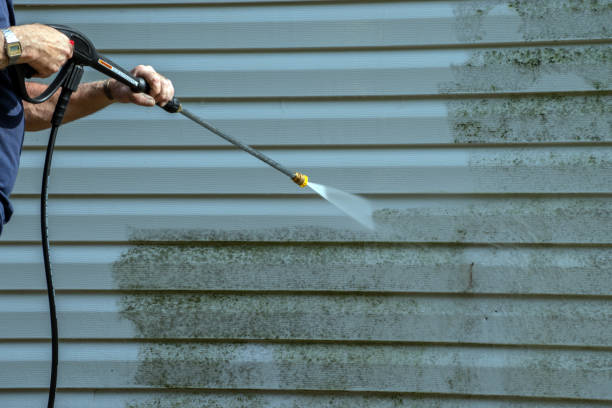 Professional Pressure Washing Services in Conehatta, MS